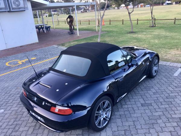 "Dakota" - top rear view