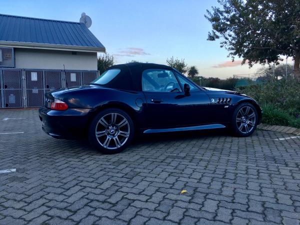 "Dakota" - side view